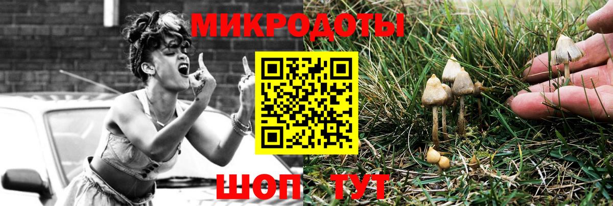 Галлюциногенные грибы Psilocybine cubensis Котлас