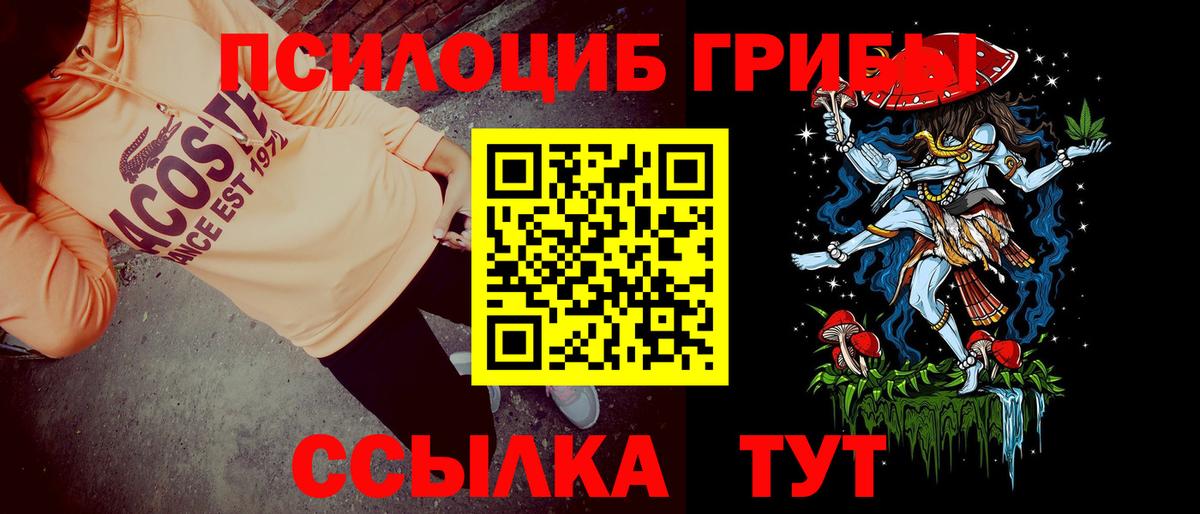 сколько стоит  Вход с VPN  Котлас  Галлюциногенные грибы GOLDEN TEACHER 